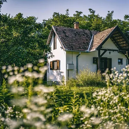 Hillside Hideaway *